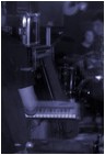 probe f?r das erste konzert