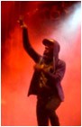 cobra starship
