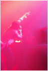 live 1
